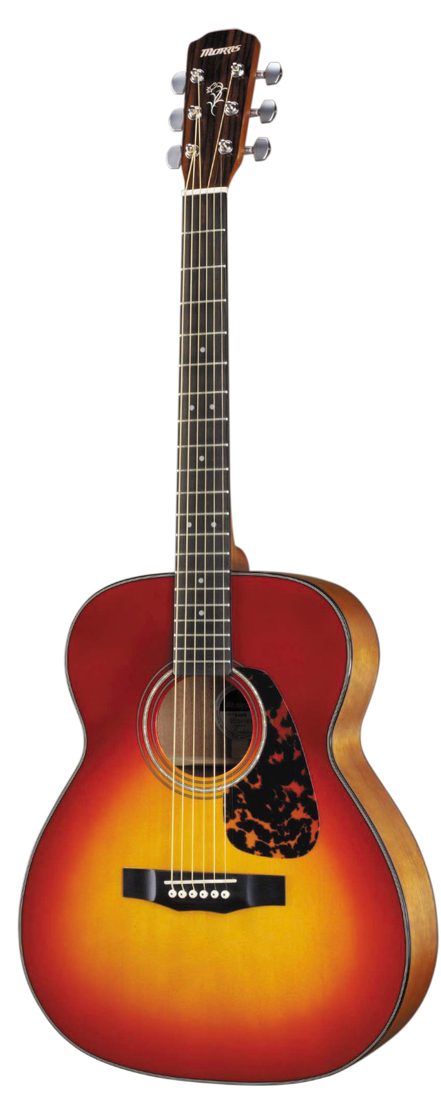 F-12 II | 生産完了品 | MORRIS GUITARS モーリスギター