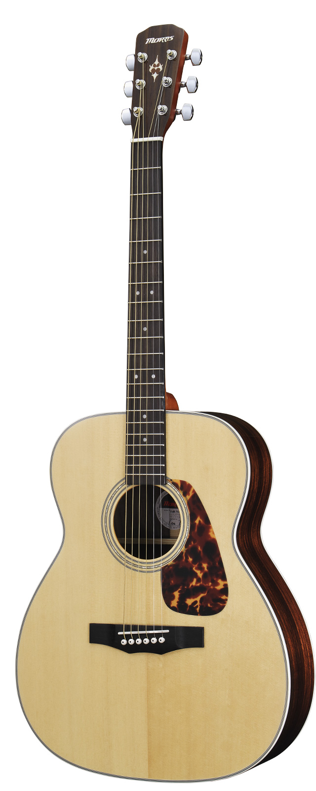 F-40 | 生産完了品 | MORRIS GUITARS モーリスギター