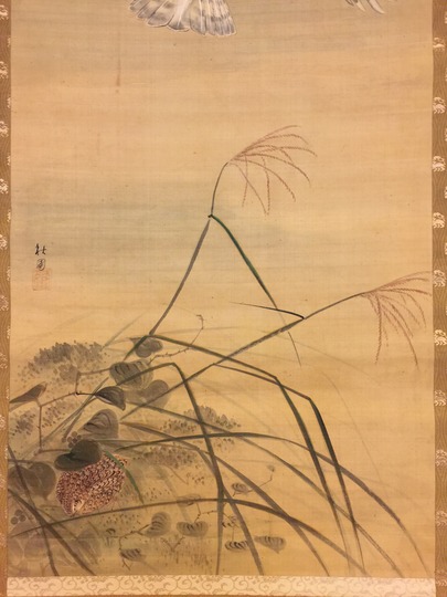 斉藤秋圃 鷹鶉図｜古美術・掛け軸の販売・買取・鑑定-松本松栄堂