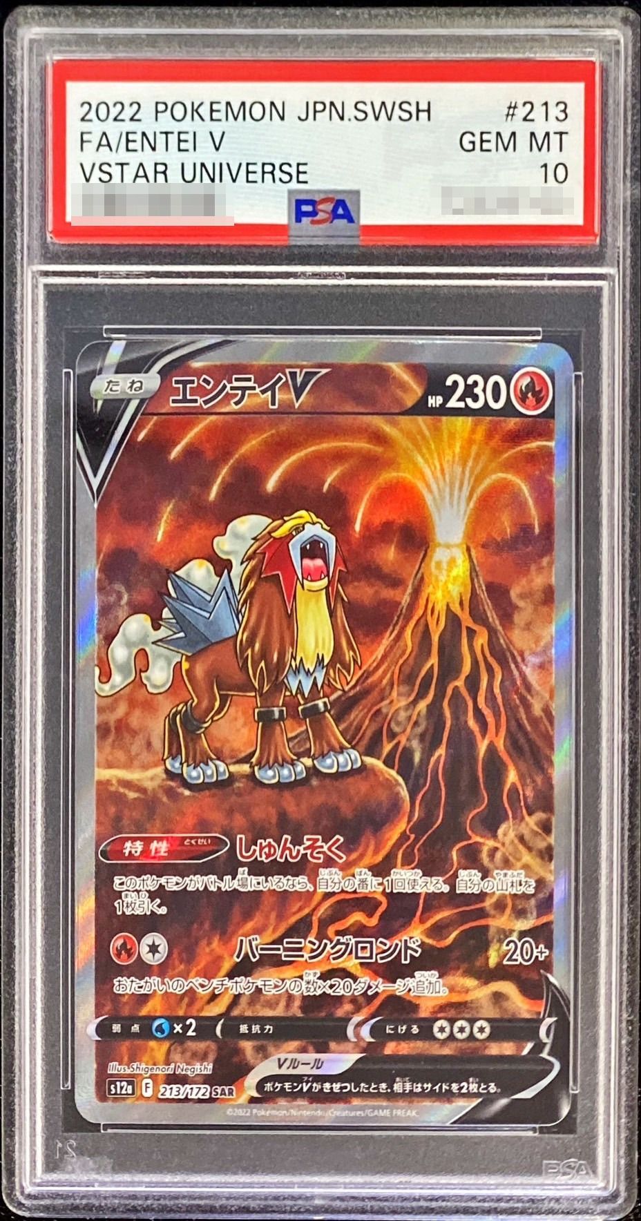 PSA10】エンテイV (SAR) {213/172} [S12a] - magi通販【ポケモンカード