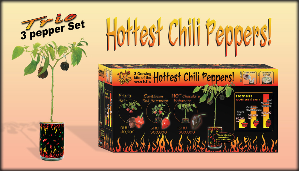 Trio Peppers (FRIAR'S HAT PEPPER, CARIBBEAN RED HABANERO,HOT