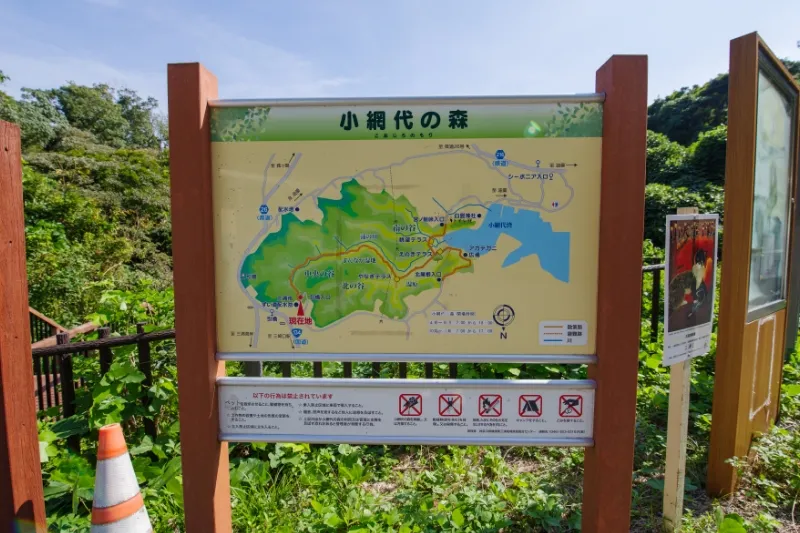 小網代の森｜関東で唯一生態系が丸ごと残る貴重な森｜公式HPからのご