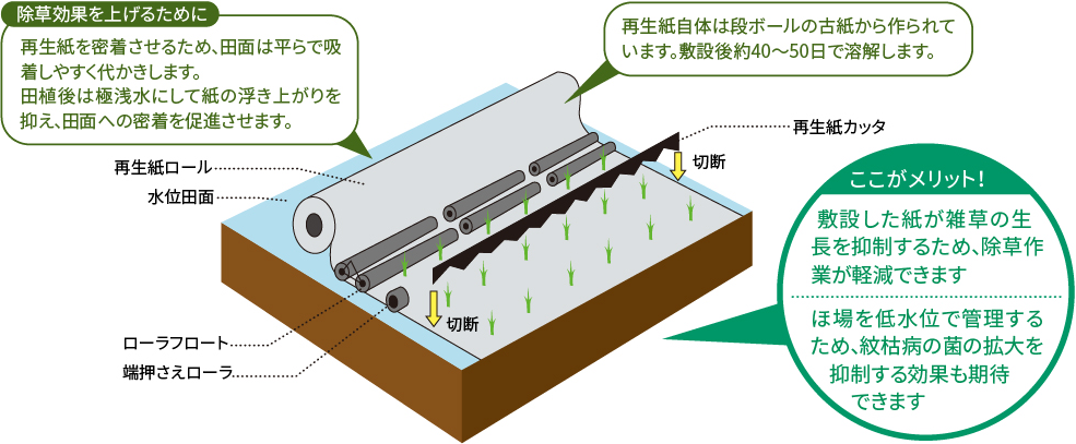 コンセプト｜Rice transplanter LKE60D｜田植機｜製品情報｜製品紹介