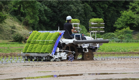 紙マルチ部｜Rice transplanter LKE60D｜田植機｜製品情報｜製品紹介