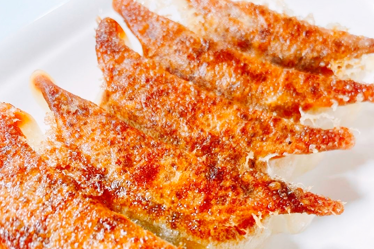しらすぎょうざ18個入 | [和歌山]釜揚げしらすと海産物の通販・お