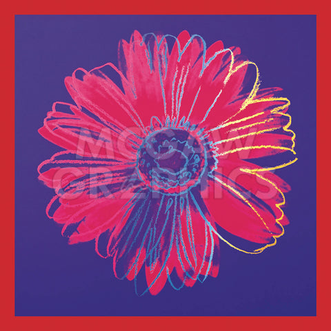 Daisy, c.1982 (blue & red) | McGaw Graphics