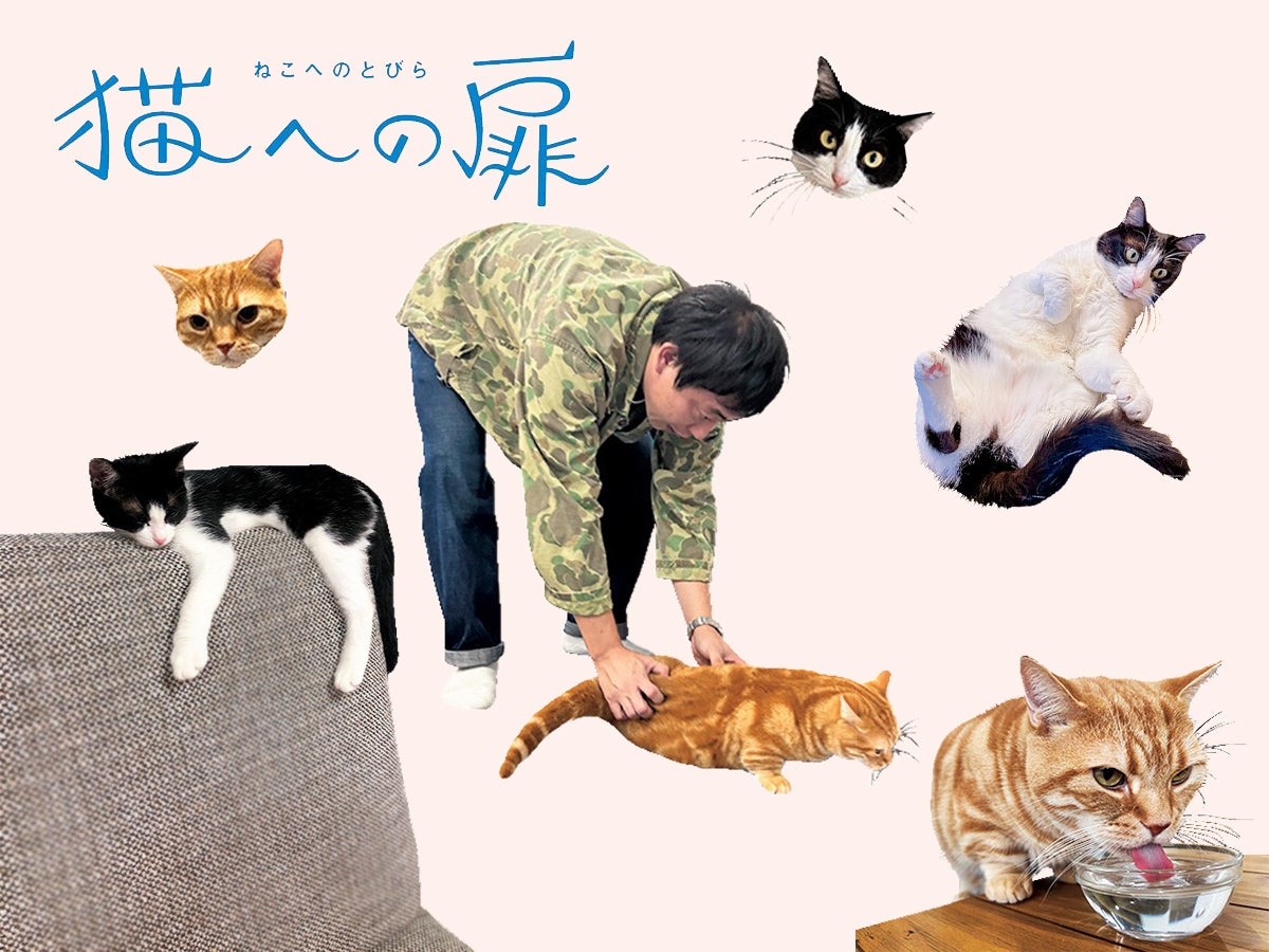 マンチカン&ミックス］芸人・森田哲矢（さらば青春の光）の愛猫の話