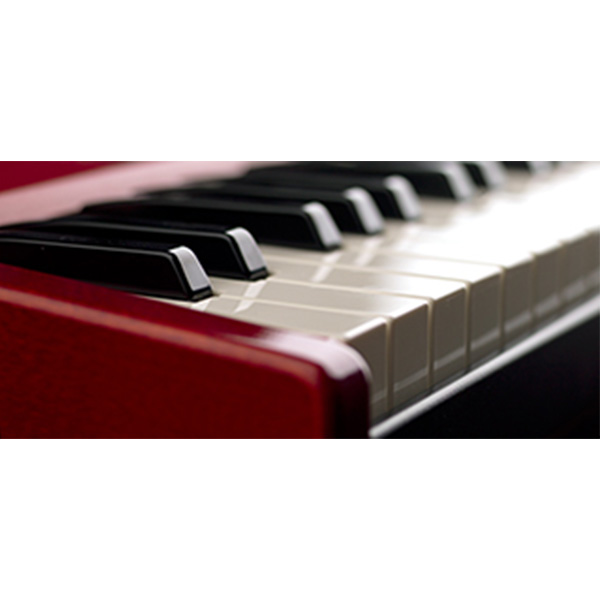 専用ソフトケースセット】 Clavia(クラヴィア) ／ Nord Electro 6D 61