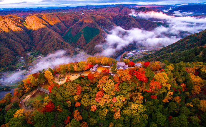 自然が織りなす奇跡の錦絵を追いかけて。紅葉を愛でる秋休み