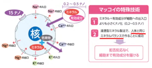 ノンFドラゴン | マッコイアイテム随一のミネラル量を誇る業務用