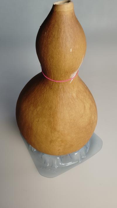 乾燥ひょうたん 品番 506 瓢箪・ひょうたん・ヒョウタン販売。乾燥した