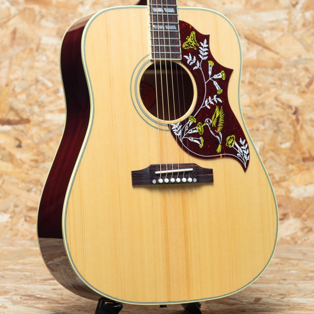 Hummingbird Original AN: アコースティックギター｜三木楽器公式通販