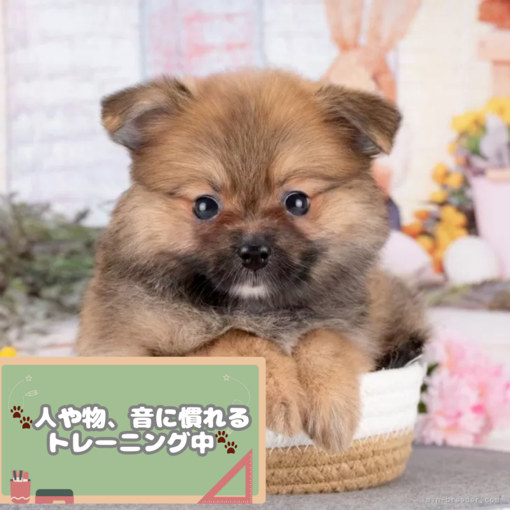 child_img_1_1f2910581c32.png