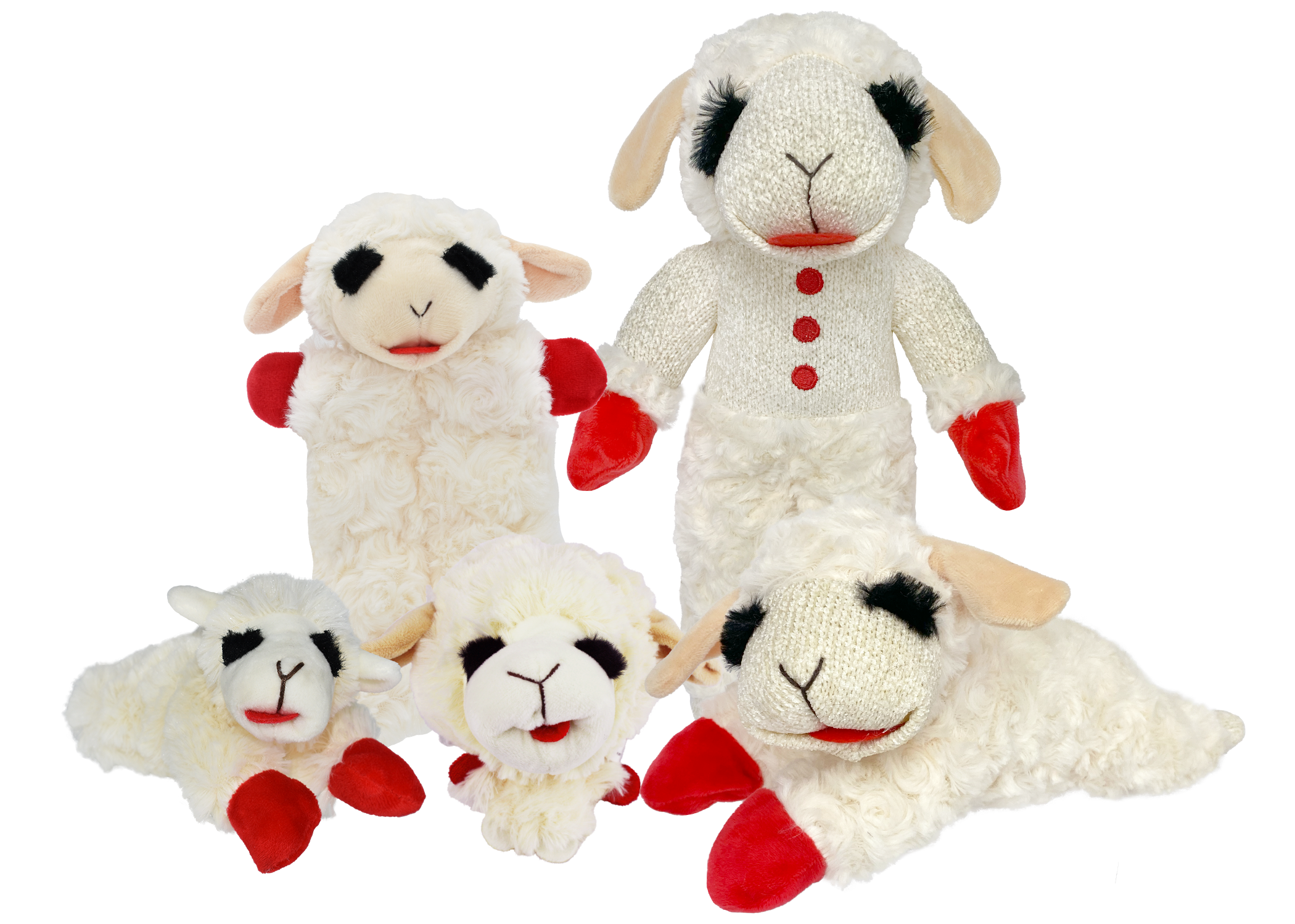 LAMB CHOP® BOX | Multipet