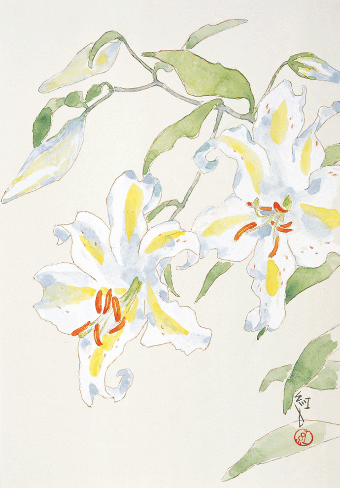 深沢紅子展 野の花によせて｜吉祥寺美術館