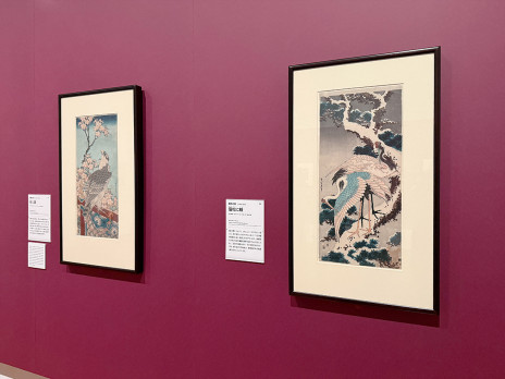 没後30年 須田剋太展 SUDA Kokuta MANDALA | 展覧会 | アイエム