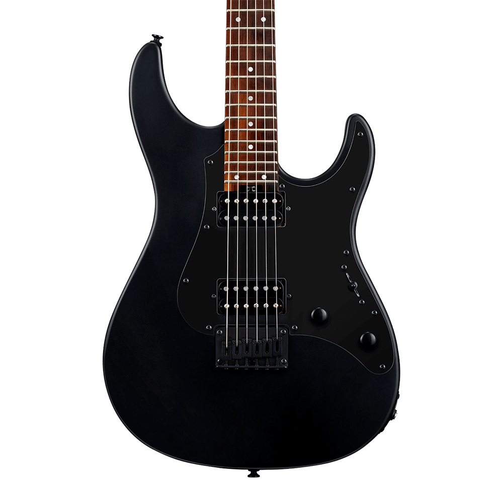 GrassRoots G-SNAPPER-CTM/P See Thru Black｜ミュージックランドKEY