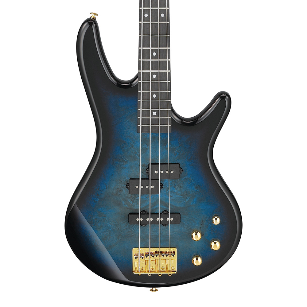 Ibanez Gio GSR280QA-TMS (Transparent Marine Sunburst