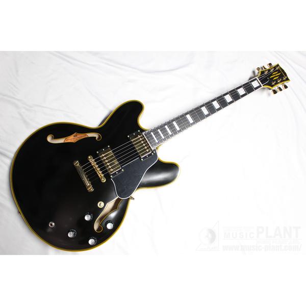 EDWARDS ラッカーテイストシリーズ セミアコースティックギターE-SA
