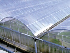 農ビエースみらい 厚さ0.1mm(幅150cmX長さ100m): 農業資材