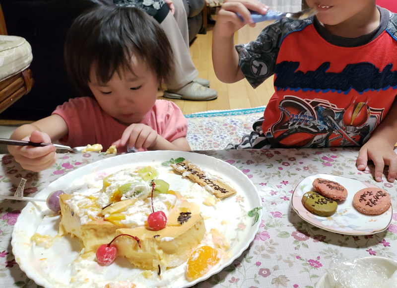 プリンケーキで | 野口鍛冶店 万能両刃鎌（三角ホー）・昭和鍬・二段鋏