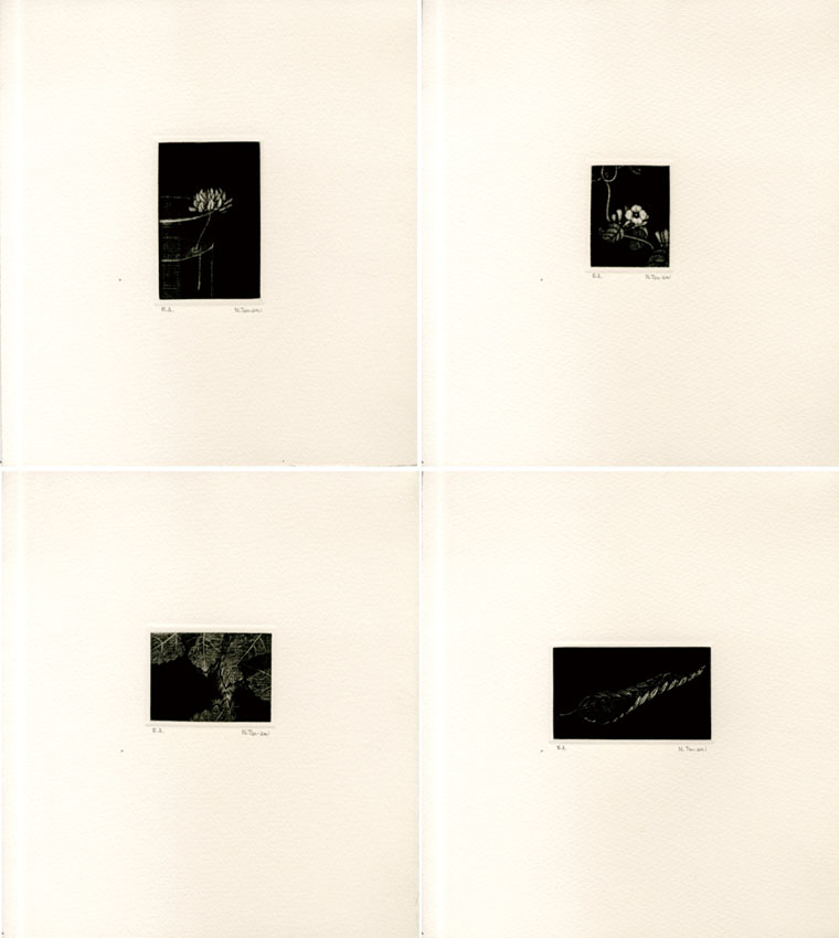 丹阿弥丹波子銅版画集 集 / Niwako Tan-ami | Natsume Books