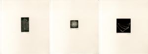 丹阿弥丹波子銅版画集 集 / Niwako Tan-ami | Natsume Books