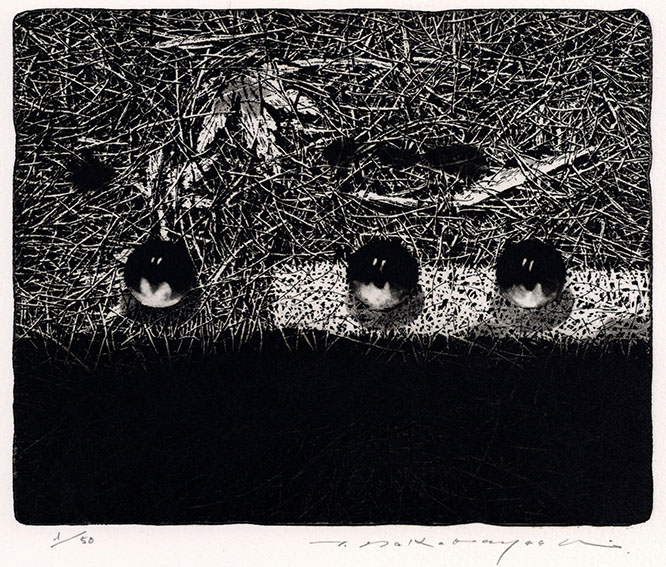 中林忠良版画「転位86' 地 VI」 | Natsume Books