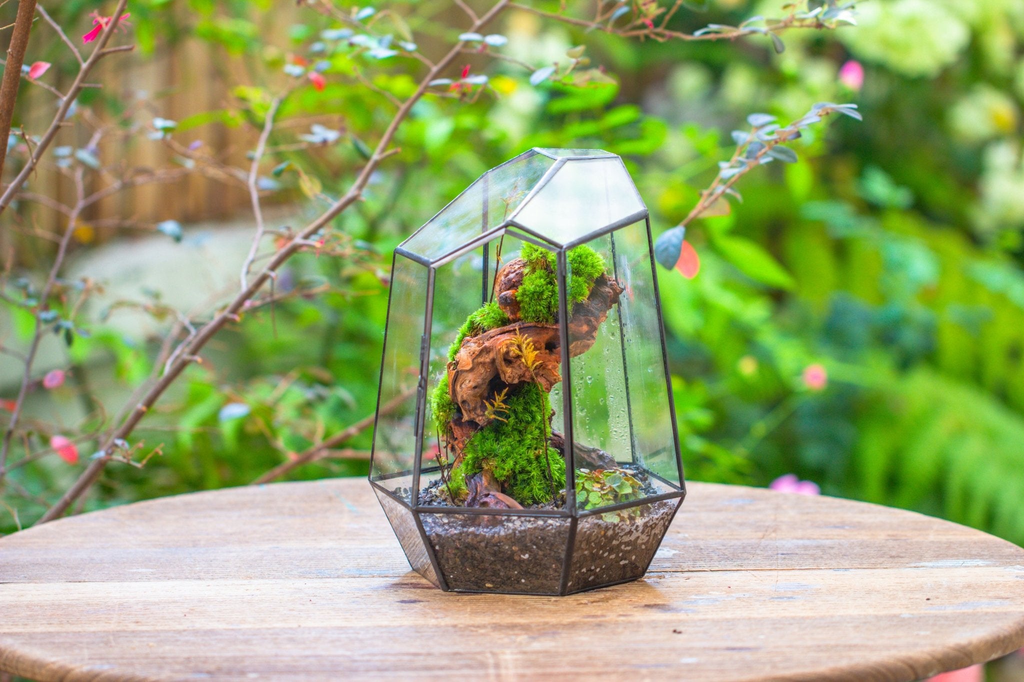 NCYP Large Close Geometric Glass Terrarium with Door, Tin Sealed