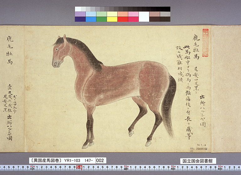 異国産馬図巻〕（標準画像 147-002） | 江戸時代の日蘭交流