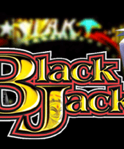 ネット株式会社 - NET CORPORATION - スーパーブラックジャック