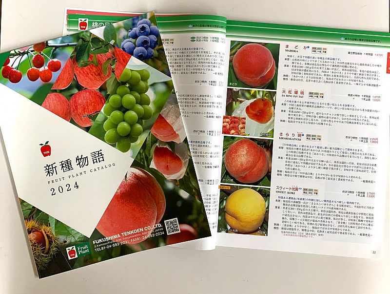 福島天香園】最新カタログ2024年度版を無料進呈しています（ふくしま