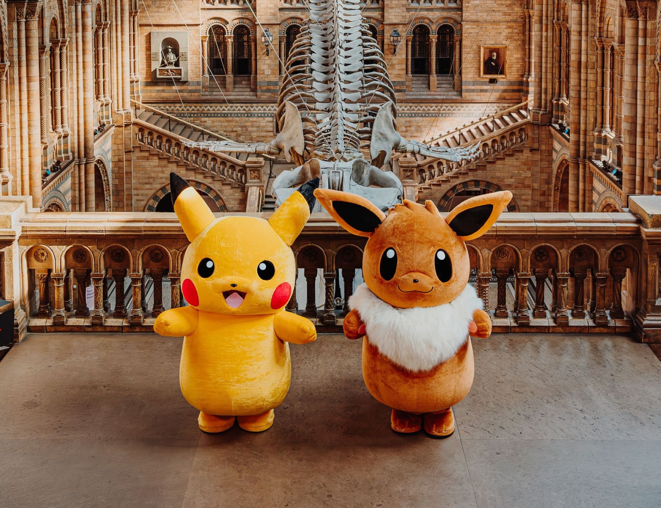 Pokémon x Natural History Museum Reveal 'Pokécology' theme and