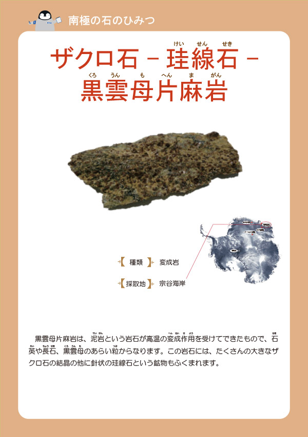 地球の証人! 南極の石のひみつ │ 企画展示をのぞき見！ │ おうちで