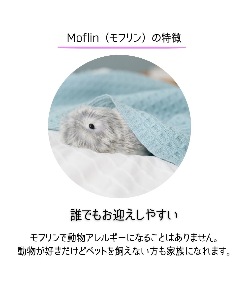 AIペットロボット モフリン(Moflin)/CASIO 通販【ニッセン】