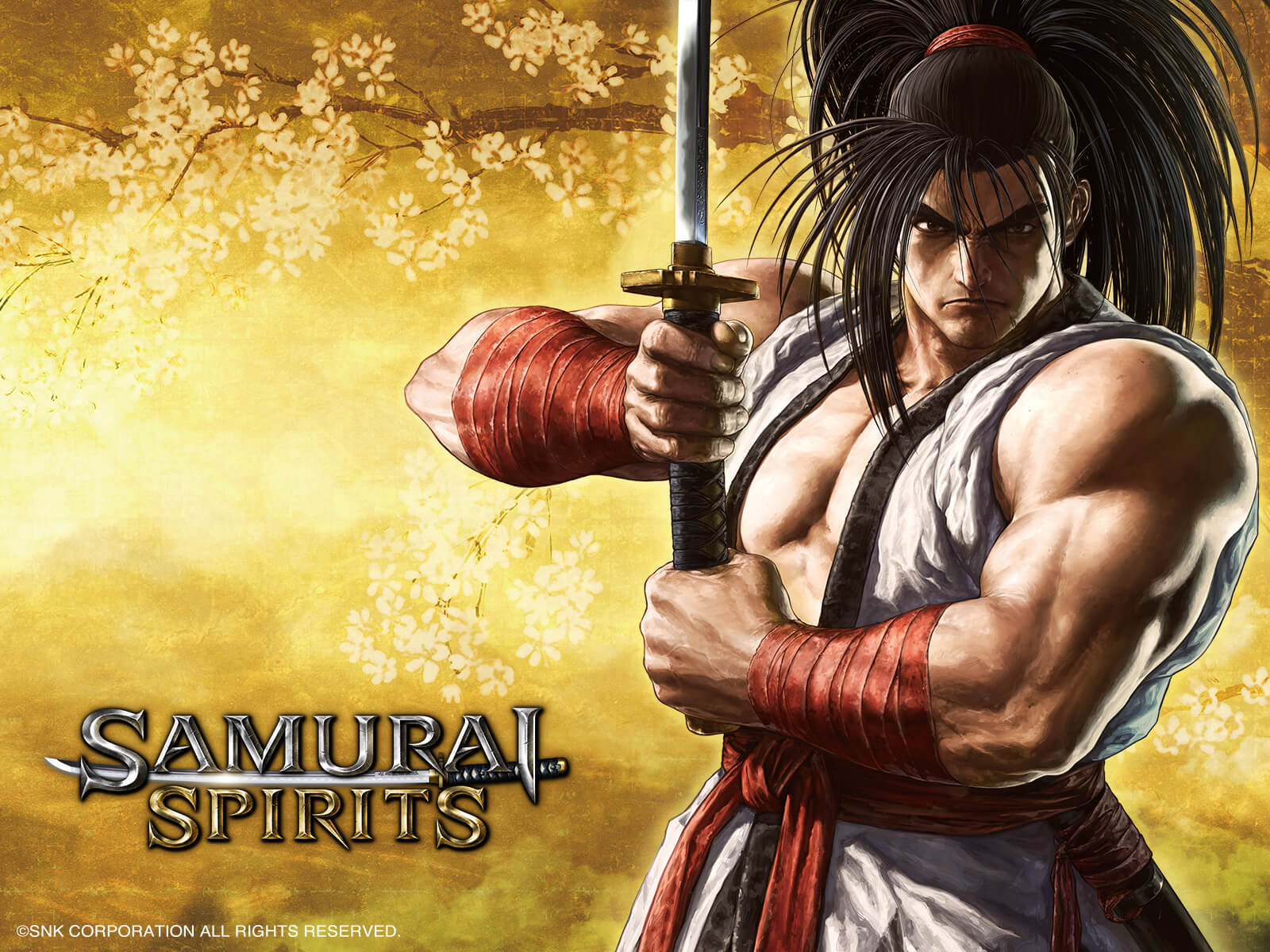 SAMURAI SPIRITS公式サイト | SPECIAL CONTENTS