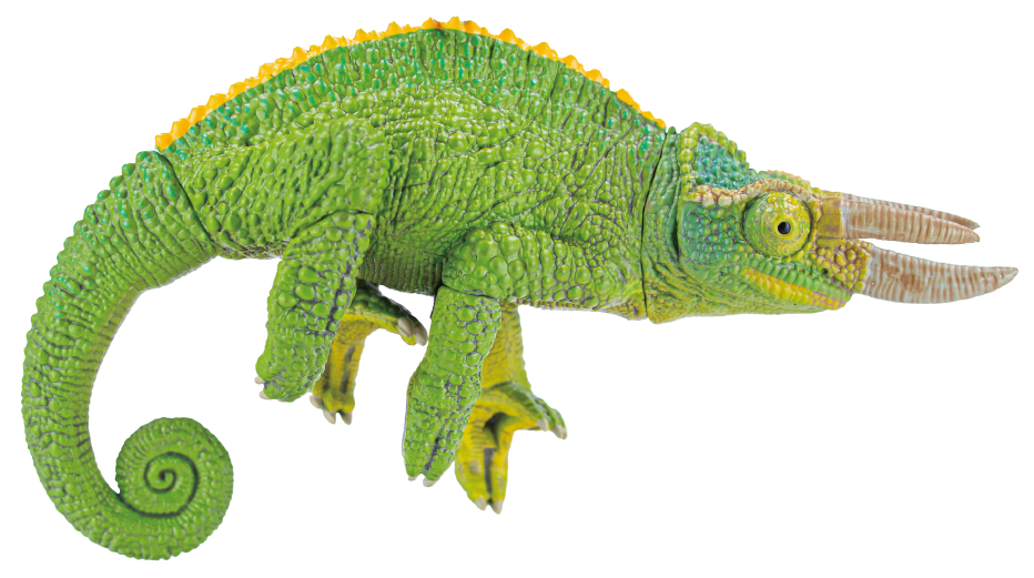 img_lightgreen.png