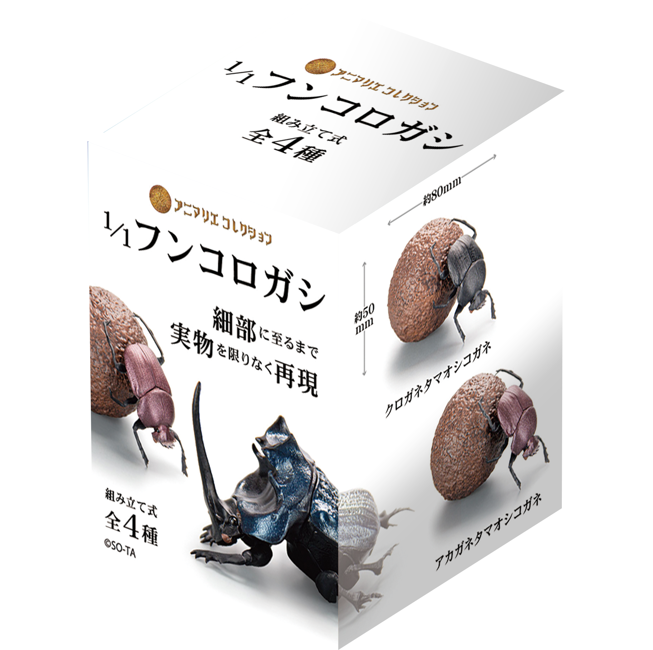 img_BB_hunkorogashi.png