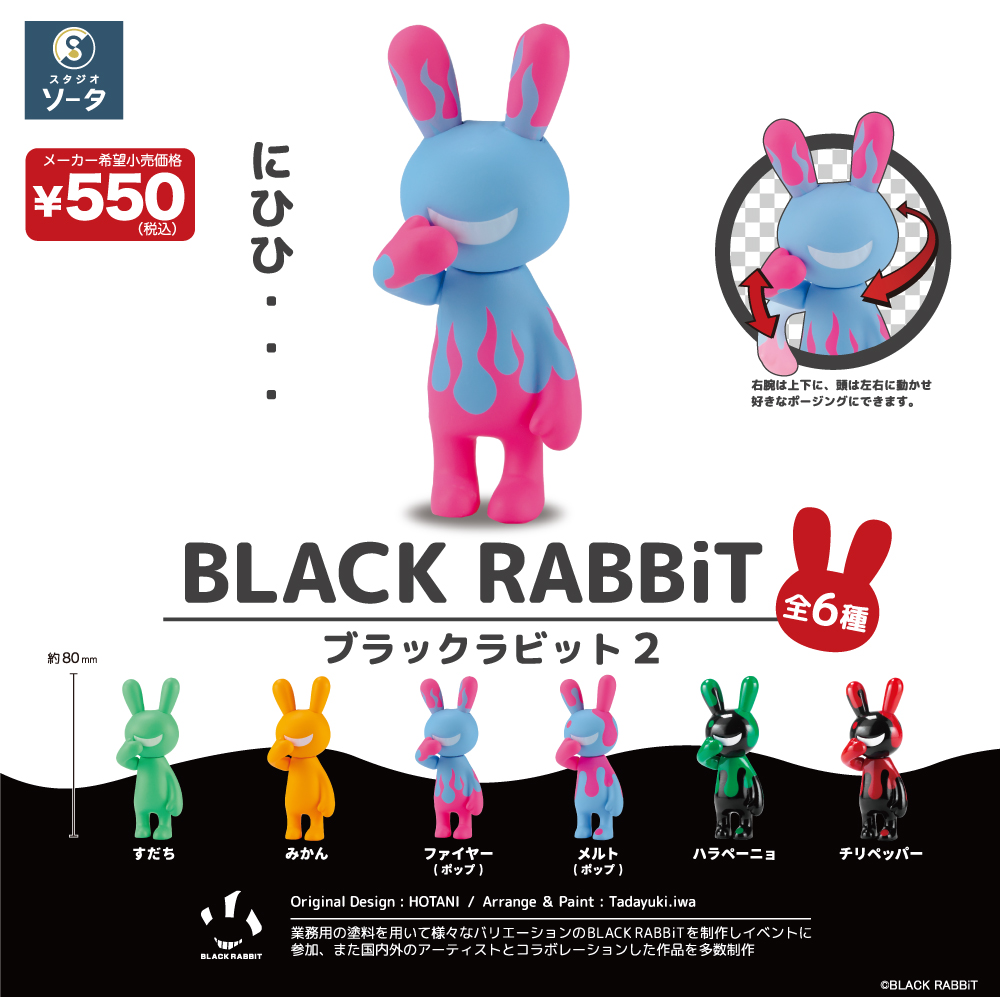img_BLACKRABBiT2_hako.jpg