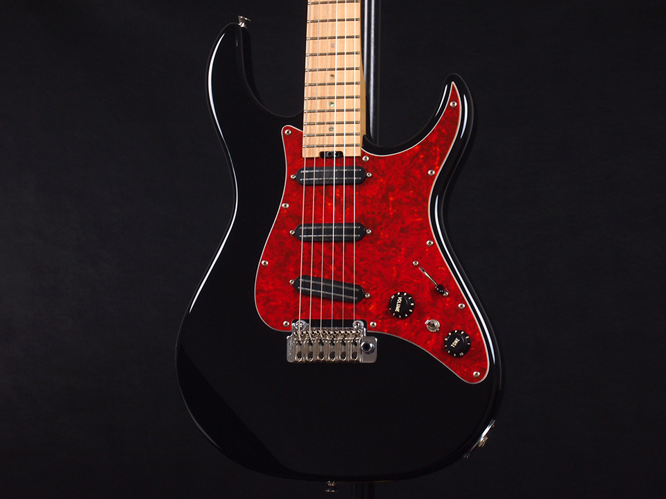 FERNANDES RT-DLX JPC 2011/BLK M 税込販売価格 ￥79,800- 中古 現代