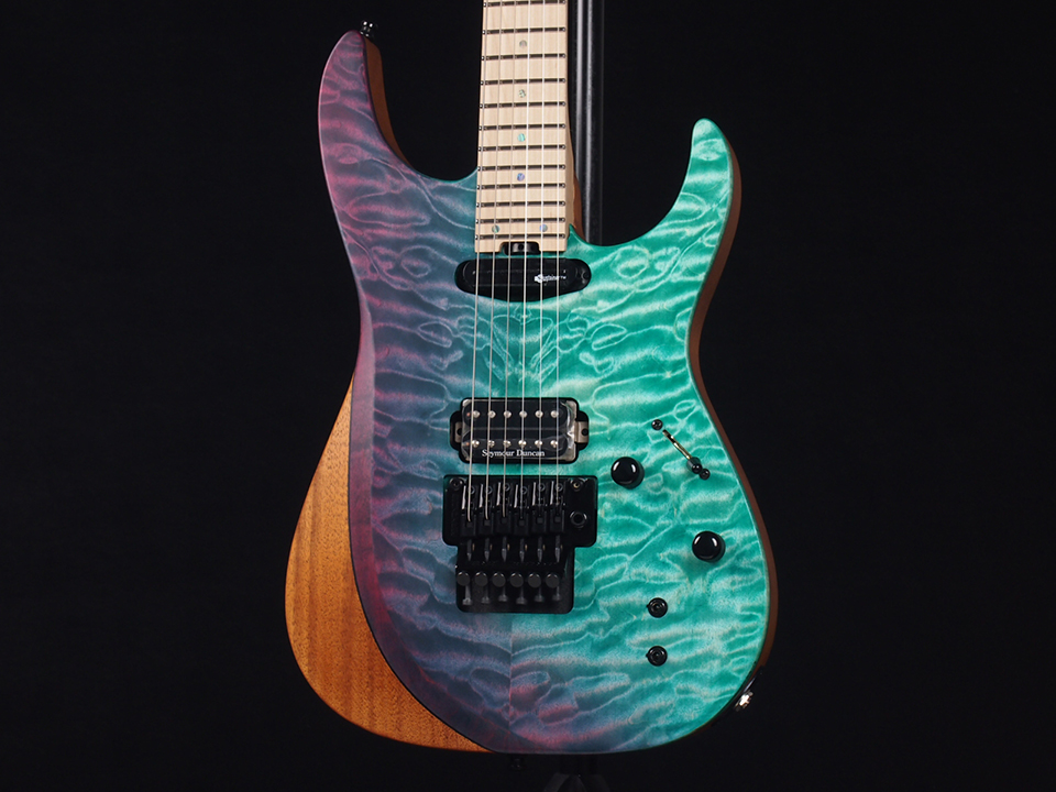 FERNANDES FR-ELT SUS 税込販売価格 ￥162,800- 新品 カラーサンプル