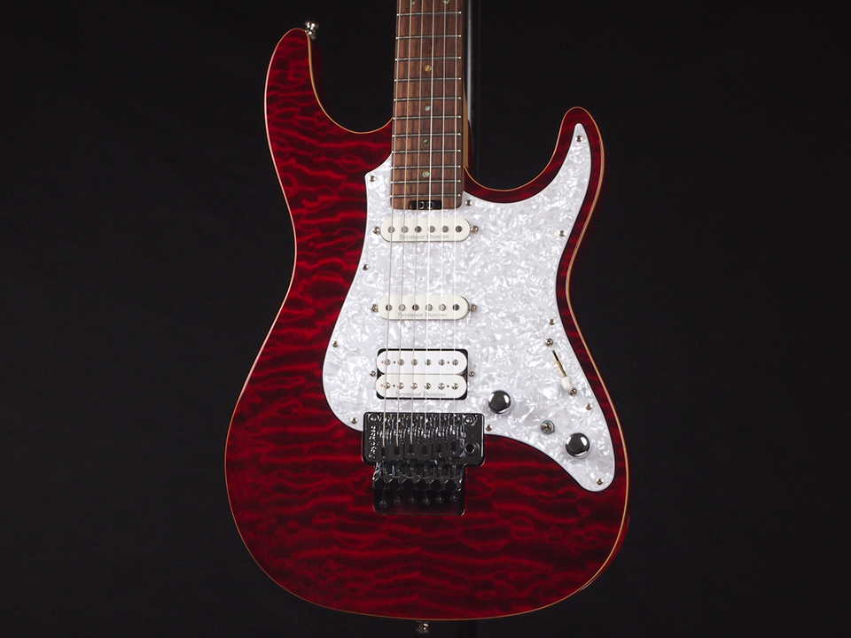 Edwards E-SN-145FR 税込販売価格 ￥82,800- 中古 超ハイスペックな