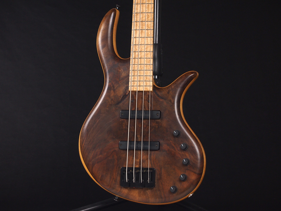 elrick Gold Series E-volution 4 -Claro Walnut Top- 税込販売価格