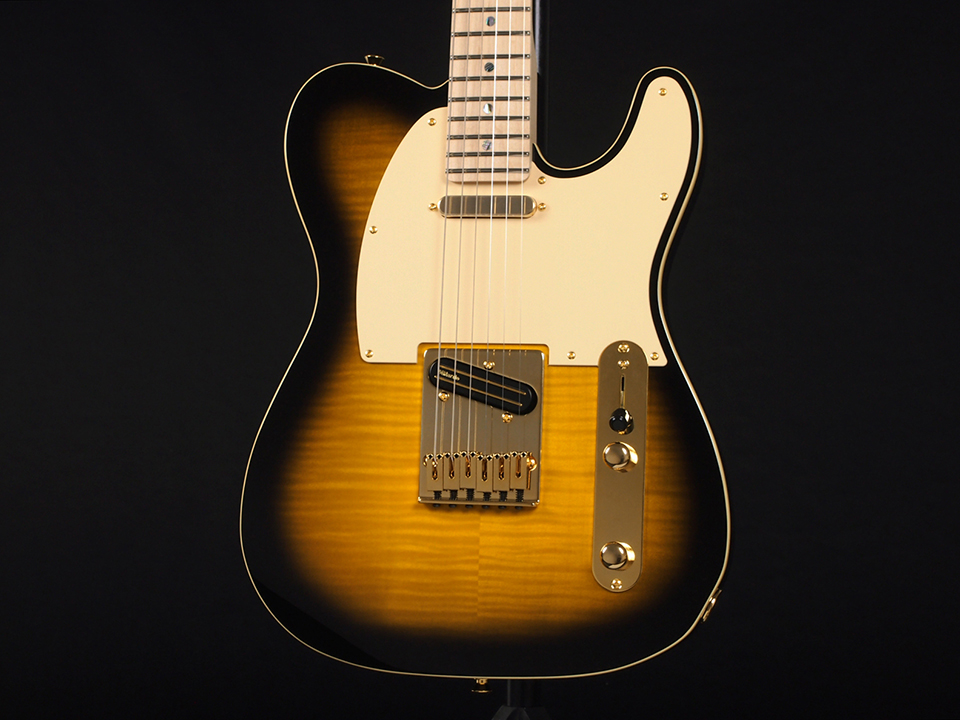 Fender Richie Kotzen Telecaster Maple Fingerboard Brown Sunburst