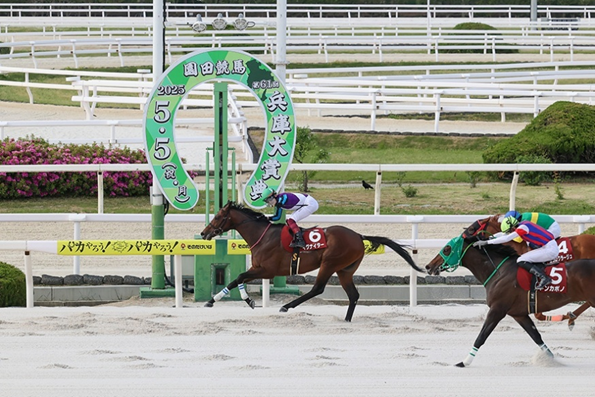 更新】イグナイター号引退式について ｜ 園田・姫路競馬場