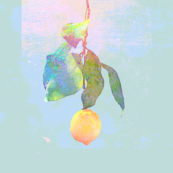 Lemon【映像盤(初回限定)】 | 米津玄師 | ソニーミュージック