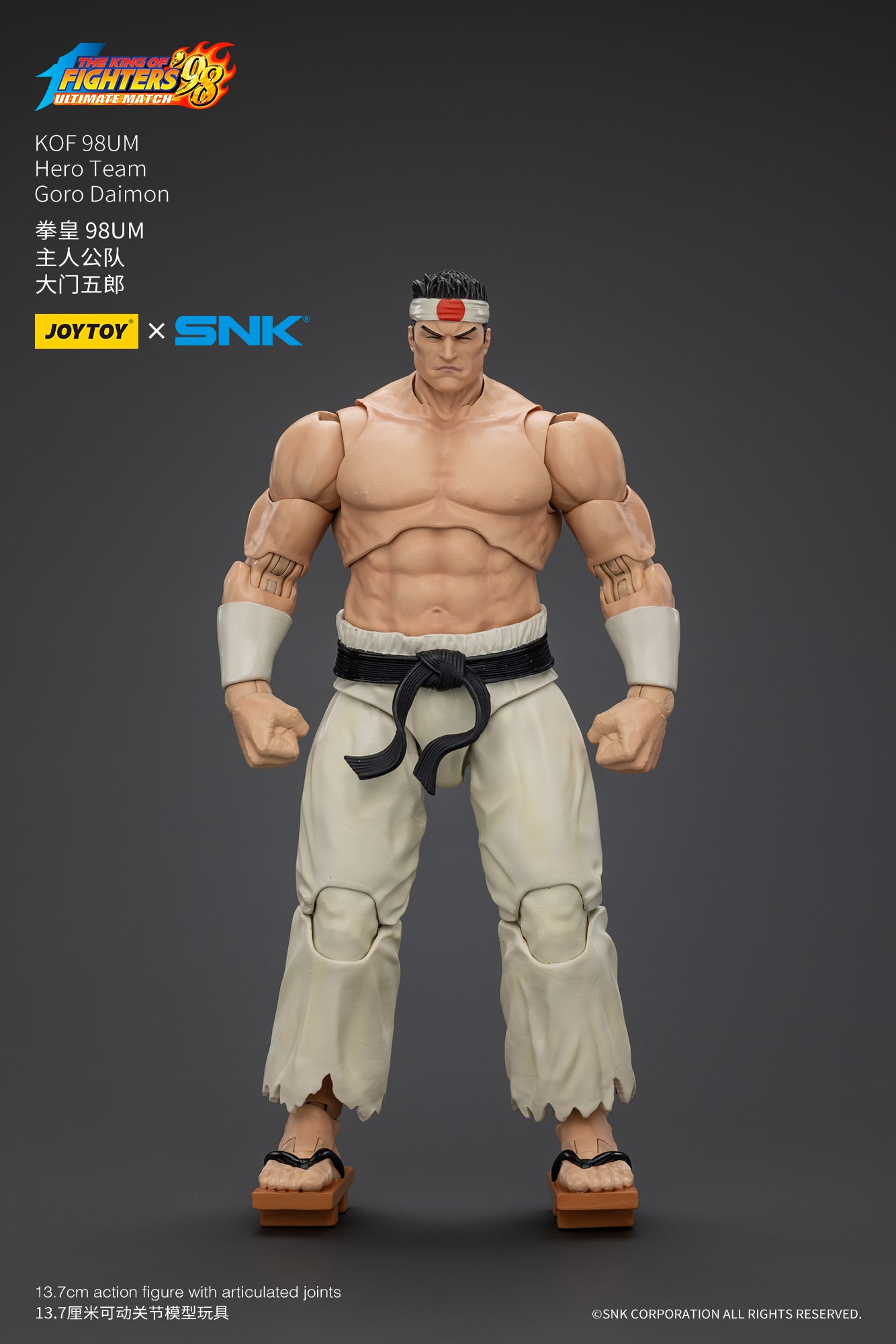 ザ・キング・オブ・ファイターズ TKF '98 アルティメットマッチ 主人公