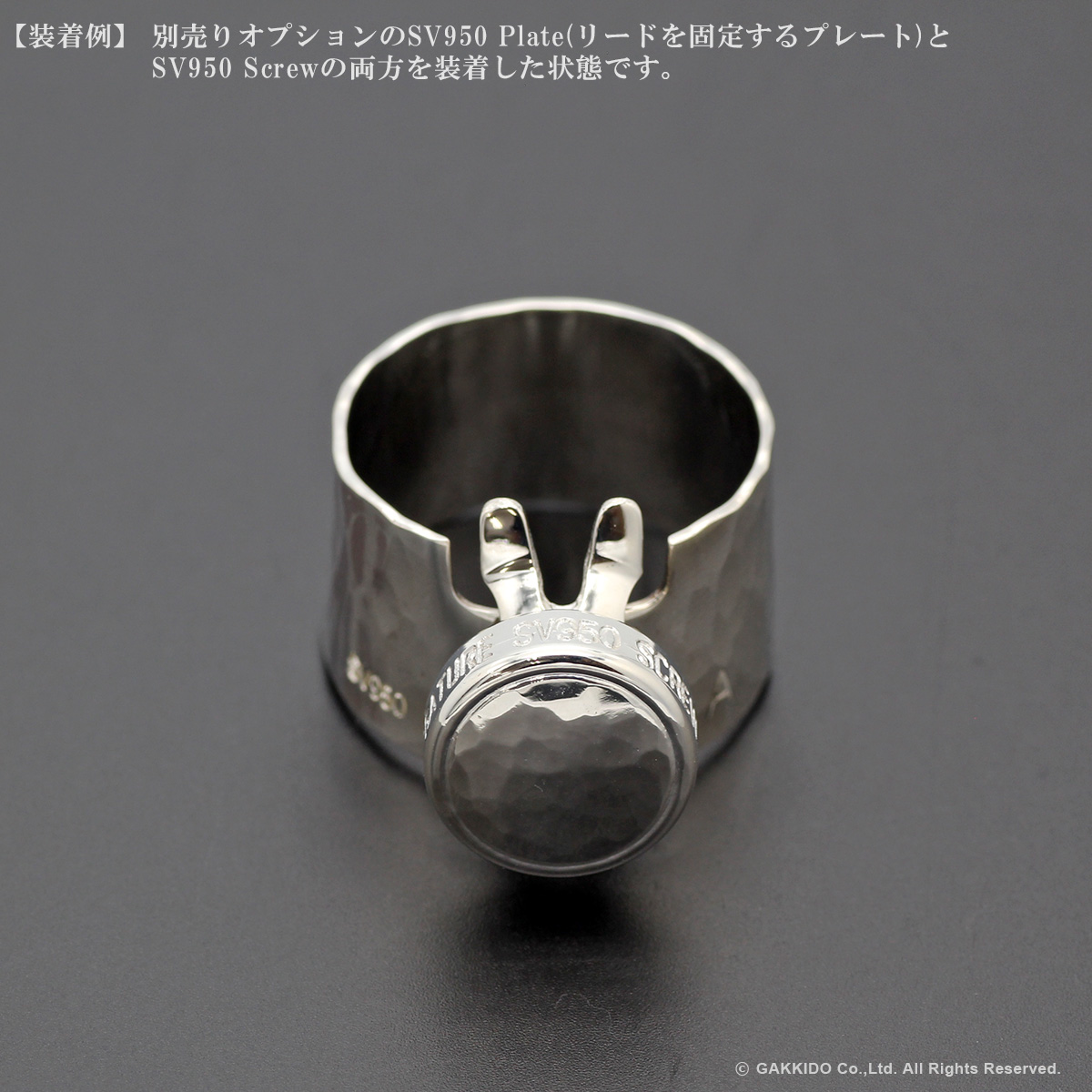 Gottsu Signature Ligature Option Parts：Screw 【SV950