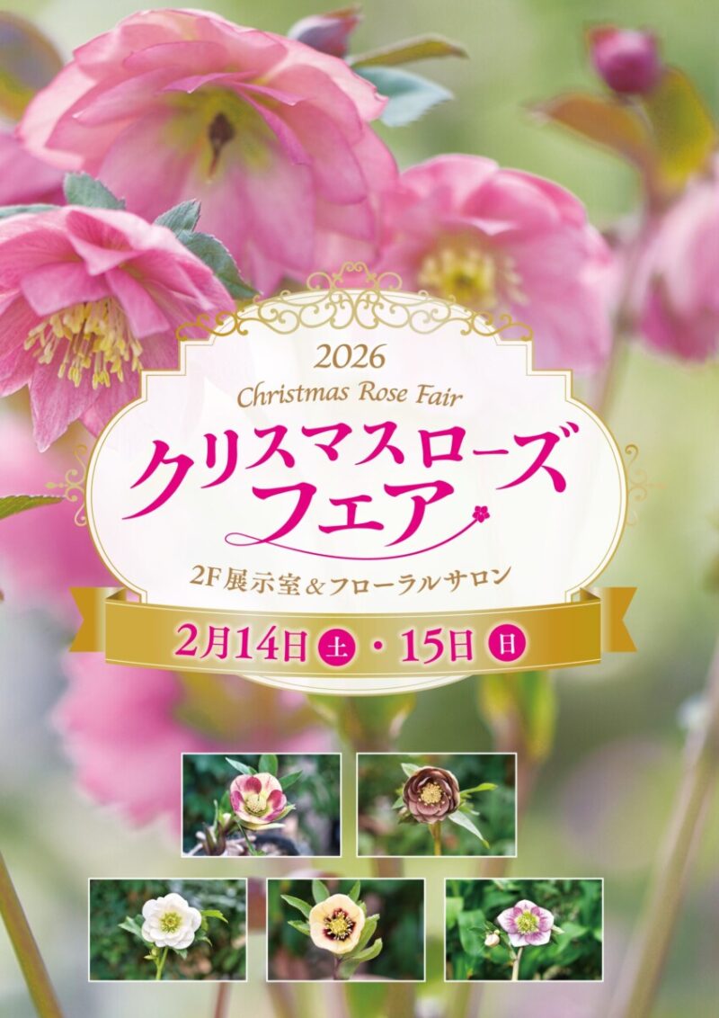 クリスマスローズフェア | 大阪の植物園-咲くやこの花館－