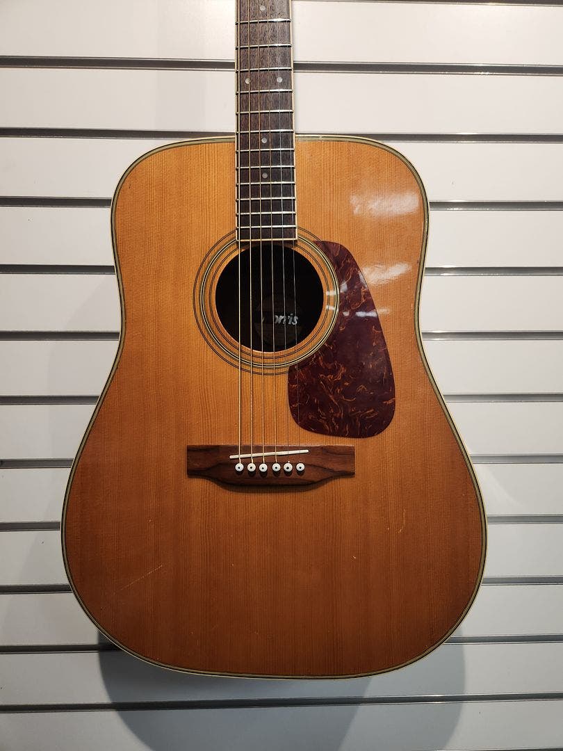 Buy used Morris MD-506 Acoustic Guitar | Sam Ash Music